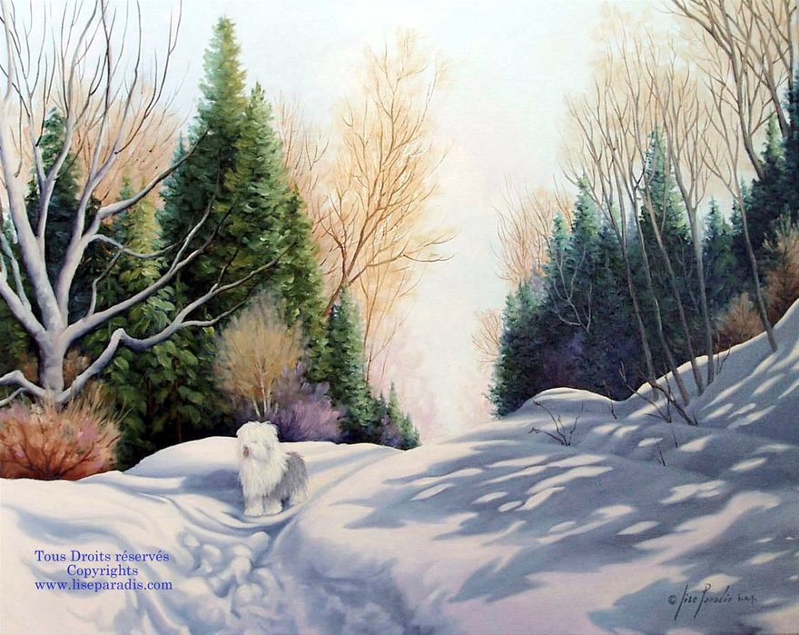 Sentinelle des neiges 22 X 28 po. Huile  / Copyrights