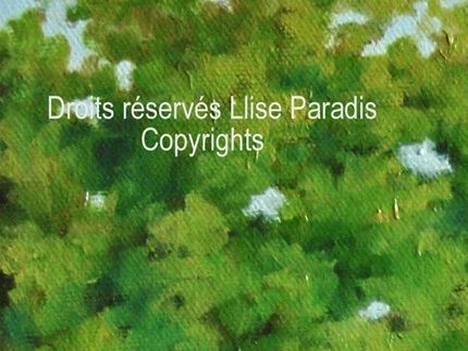 Ferme dans les Bois-Francs 10 X 12 po.Huile sur toile / Copyrights