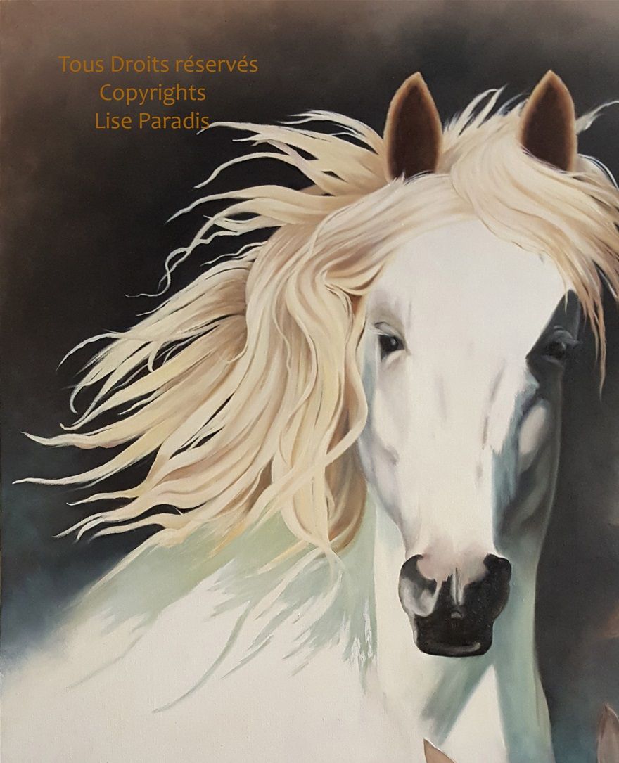 Apollon / huile sur toile standard / 30 X 24 po. / Copyrights.