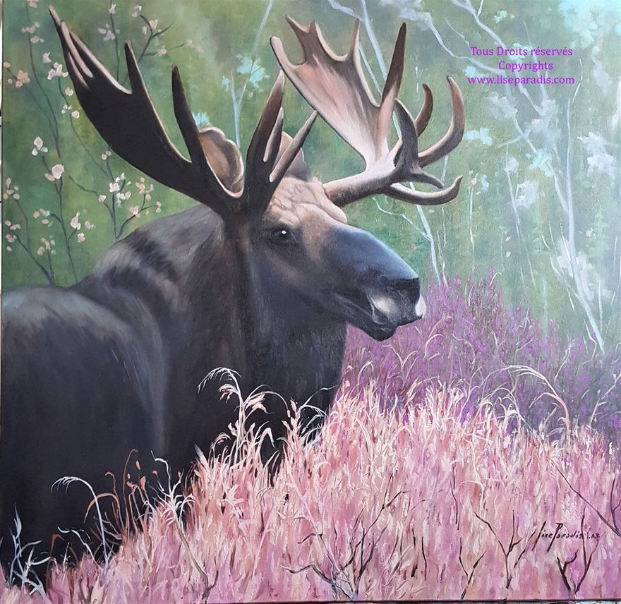 ''Le Roi'' 24 X 24 po / Huile sur toile-galerie / Copyrights